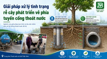 Trung tâm Thoát nước và Xử lý nước thải nghiên cứu giải pháp hạn chế rễ cây xâm nhập tuyến cống thoát nước